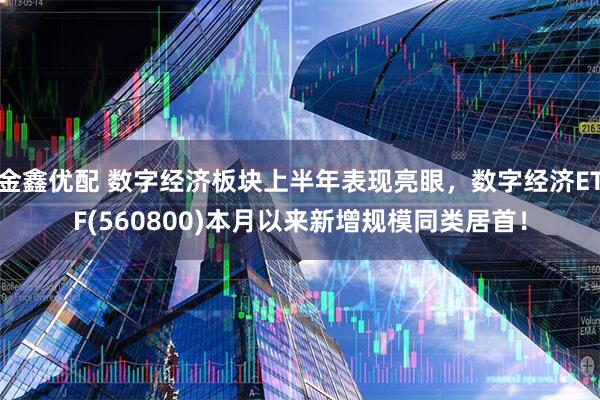 金鑫优配 数字经济板块上半年表现亮眼，数字经济ETF(560800)本月以来新增规模同类居首！