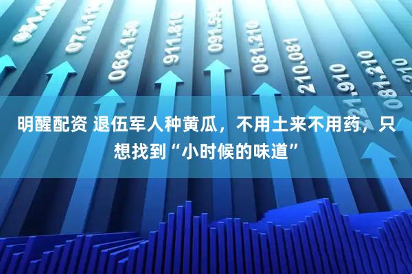 明醒配资 退伍军人种黄瓜，不用土来不用药，只想找到“小时候的味道”