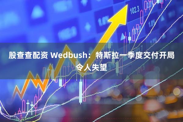 股查查配资 Wedbush：特斯拉一季度交付开局令人失望